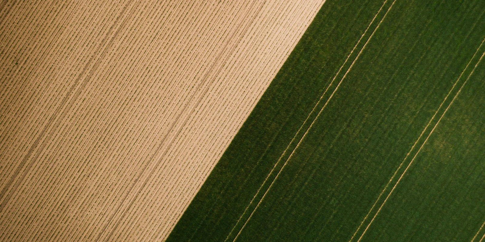 BTSA GDEA en Alternance : Avantages et Inconvénients