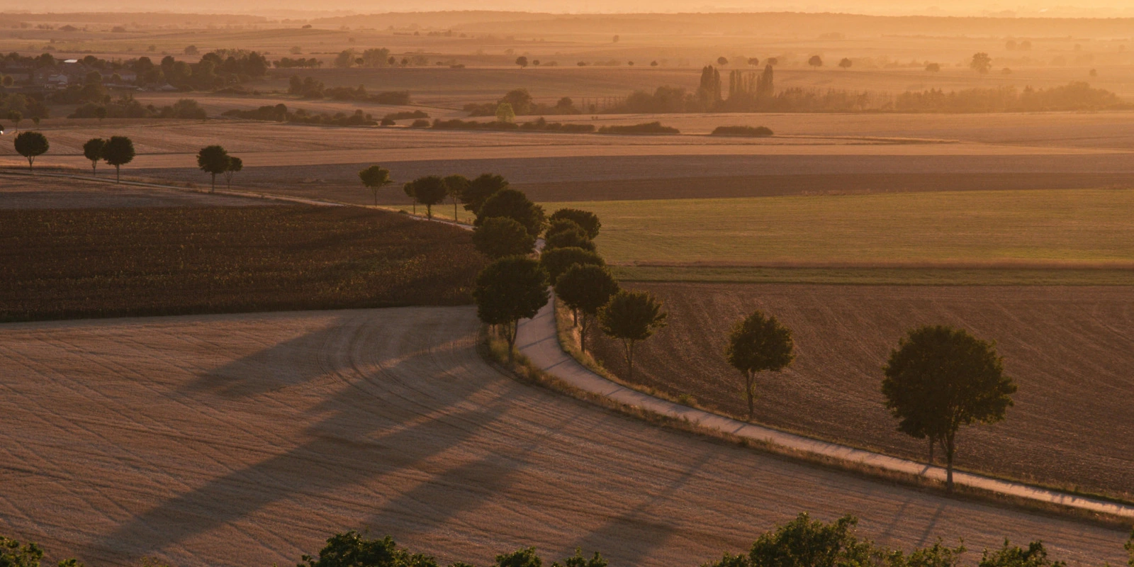 BTSA GDEA : Signification et Objectifs du Diplôme