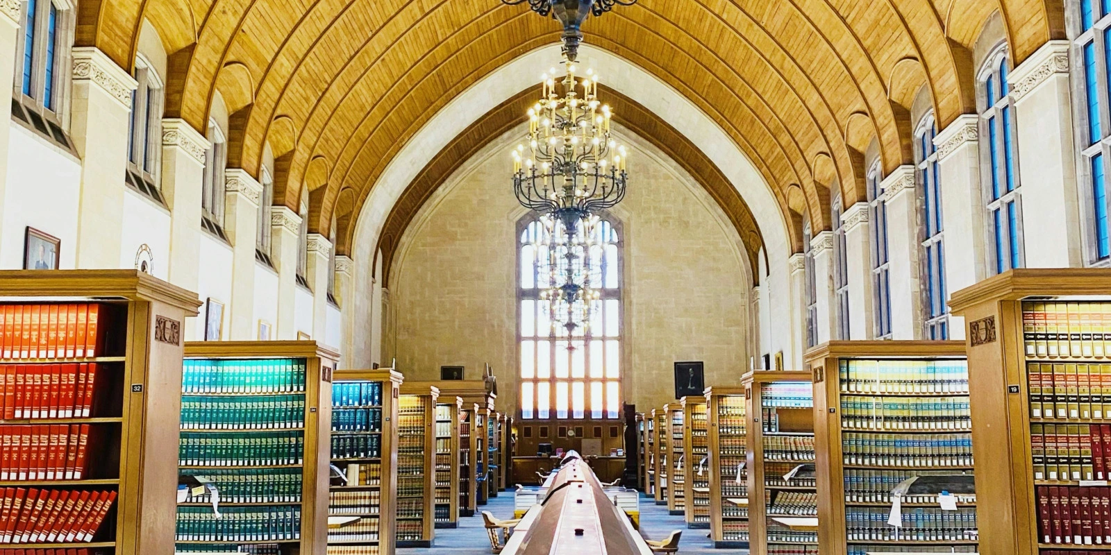 Tout Savoir sur le BTSA GDEA : Programme et Débouchés